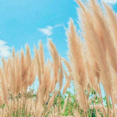 贵州省纪委通报5起违反中央八项规定精神典型问题