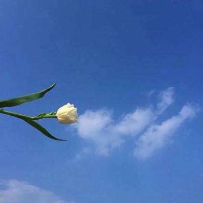 周劼朋友圈炫富事件