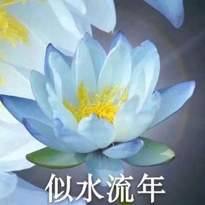 不爱吃蔬菜能多吃水果代替？