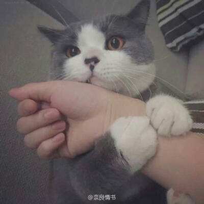探索以党建赋能特色产业链