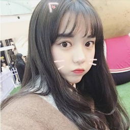 半岛综合下载