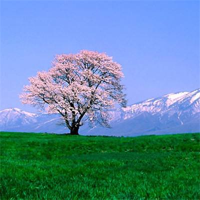 【图集】西安启动全员核酸检测