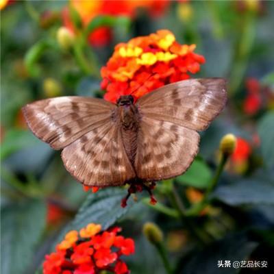 “四下基层”彰显历久弥新的时代价值和实践伟力