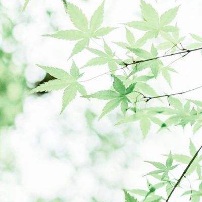 新华社权威快报丨中央宣传部授予宝塔消防救援站“时代楷模”称号