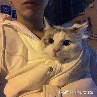 文竹：让人泪目的呐喊声