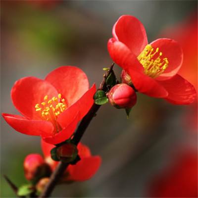 黑龙江2月4日新增确诊病例5例 无症状感染者3例