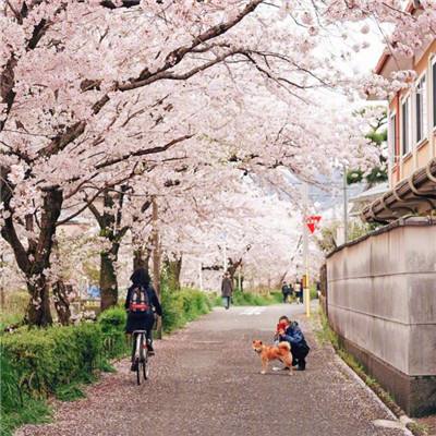 【境内疫情观察】广西新增37例本土病例（2月6日）