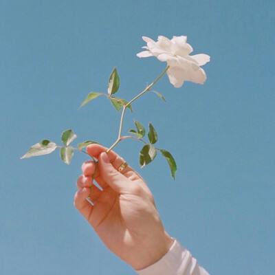 开云体云app