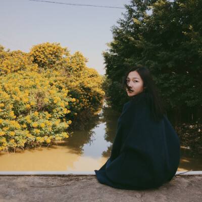 恶棍，或者替罪羊：被滥用的美国信用评级机构