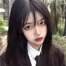 那年今日｜抗美援朝志愿军火力最猛的战役