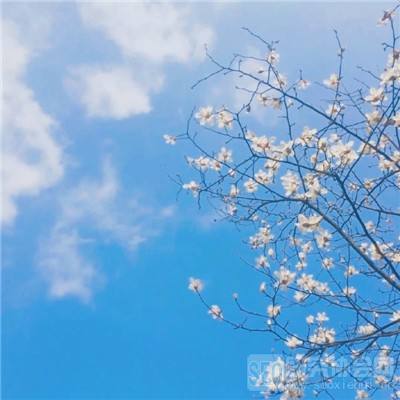 长沙世界之窗取消跨年烟花燃放：空气污染严重，园区增加了放气球活动