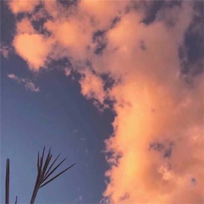 新型抗体或能对抗多种流感病毒