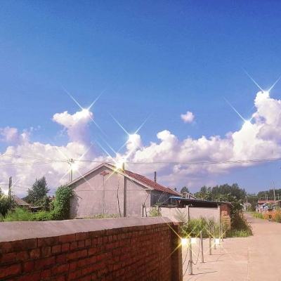 格拉德科夫：乌军袭击别尔哥罗德超百辆汽车和大量房屋受损