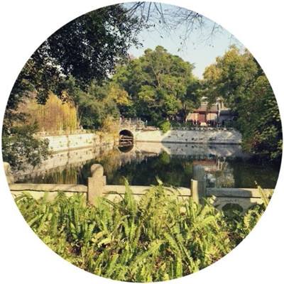 新华全媒+丨两翼齐飞 同心共舞——科技“潮涌”京津冀