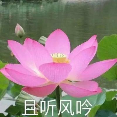黑龙江省伊春市人大常委会原党组书记、副主任李前龙被开除党籍