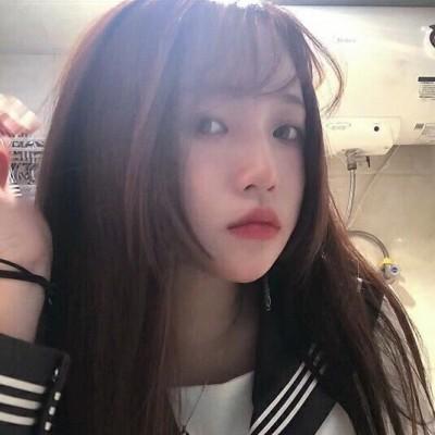 人民网评：了解宪法维护宪法运用宪法