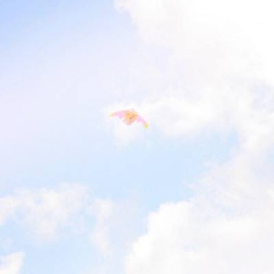 沈耀向桑夏隐瞒真正病情