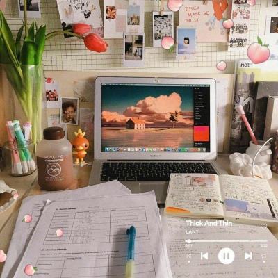 上海“鸟类天堂”逐渐向公众揭开面纱