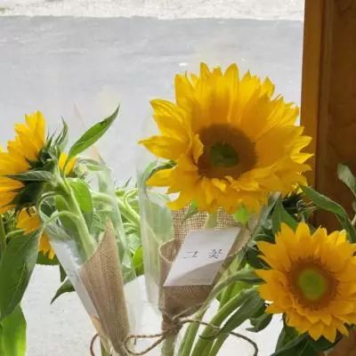 苹果2024展望：这6款产品值得期待