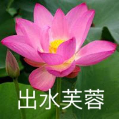 守住不惑的底线，选择做最值得的自己丨2024新年献词