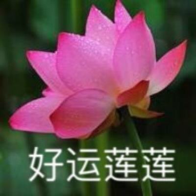 超越“地域性事件”：上海小刀会起义170周年学术研讨会纪要