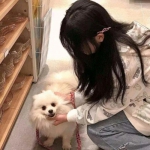 传递中国经济向好发展的信心和力量