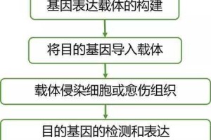基因特工装备系统现存问题解析与优化策略深度研讨