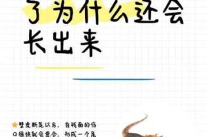 不可思议之梦蝶第三关烈焰壁虎BOSS打法详解无伤通关技巧与弱点解析