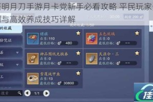 天涯明月刀手游月卡党新手必看攻略 平民玩家资源规划与高效养成技巧详解