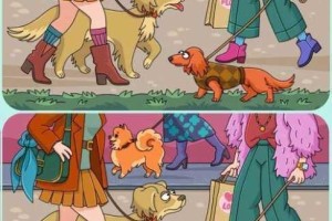 迪士尼疯狂猜图绿叶树枝谜题破解 探寻城市意象中的自然密码