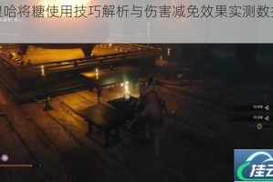 只狼哈将糖使用技巧解析与伤害减免效果实测数据详解