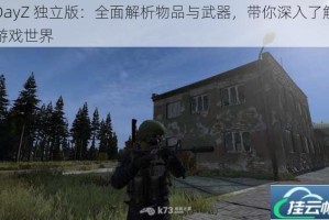 DayZ 独立版：全面解析物品与武器，带你深入了解游戏世界