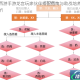 梦幻西游手游龙宫玩家伙伴搭配指南与助战培养全攻略解析