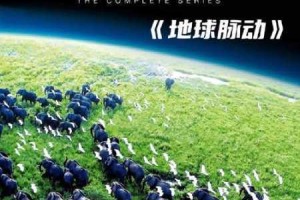 80天环游世界全球上线时间正式公布 沉浸式冒险之旅静待启程