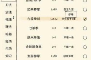 暴走大侠功法境界突破极限等级究竟能达到何种巅峰修炼层次揭秘