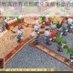 魔力世纪宠物高效养成指南全面解析助你打造专属强力伙伴阵容