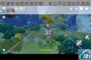 原神稻妻新地图绝景前瞻：未公开区域实机画面与探秘之旅首曝