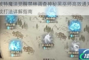 哈利波特魔法觉醒禁林调查神秘黑巫师高效通关技巧与实战打法详解指南