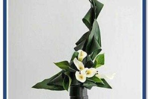 花灵悬铃花技能全解析从特性到实战全面剖析其战斗技巧