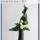 花灵悬铃花技能全解析从特性到实战全面剖析其战斗技巧