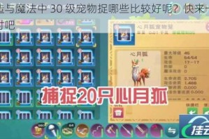创造与魔法中 30 级宠物捉哪些比较好呢？快来一起探讨吧