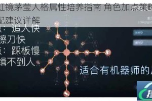 飞跃虹镜茅莹人格属性培养指南 角色加点策略与实战分配建议详解