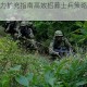 钢铁之躯兵力扩充指南高效招募士兵策略与部队规模提升技巧