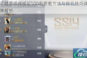 和平精英战神榜前500名查看方法与排名技巧详细步骤解析