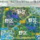 王者荣耀英雄分路站位查看技巧与实战位置选择详细解析