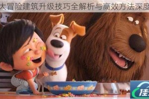 爱宠大冒险建筑升级技巧全解析与高效方法深度揭秘
