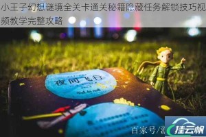 小王子幻想谜境全关卡通关秘籍隐藏任务解锁技巧视频教学完整攻略
