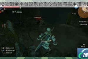 巫师3狂猎全平台控制台指令合集与实用技巧详解