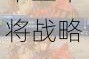 信长之野望14武田家猛将破局指南与天下三十将战略要诀全解析