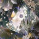 阴阳师百闻牌12月5日新式神揭晓神秘角色即将降临蜃气楼引热议